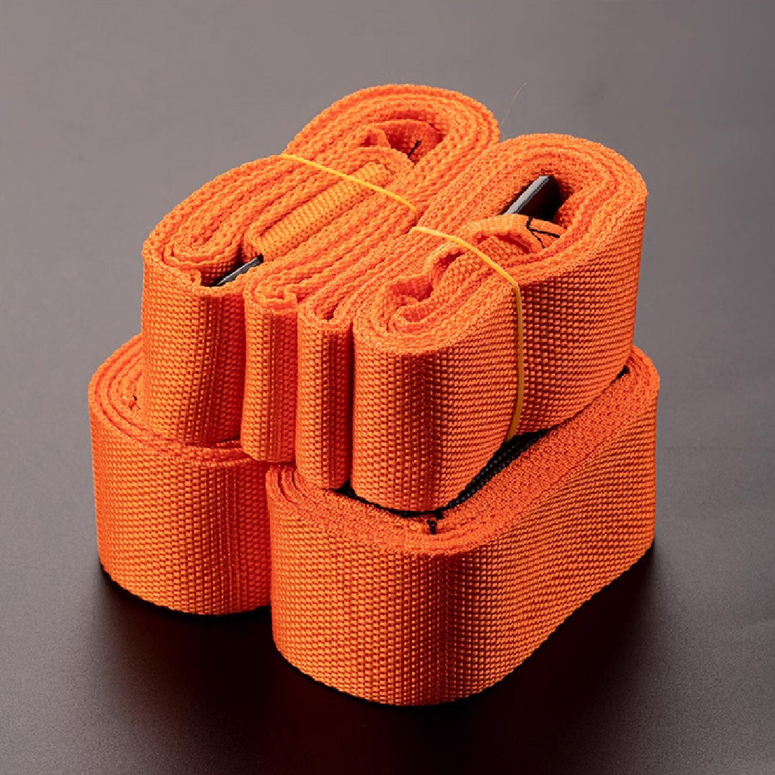 Heavy Duty Moving Straps 重物搬運背帶