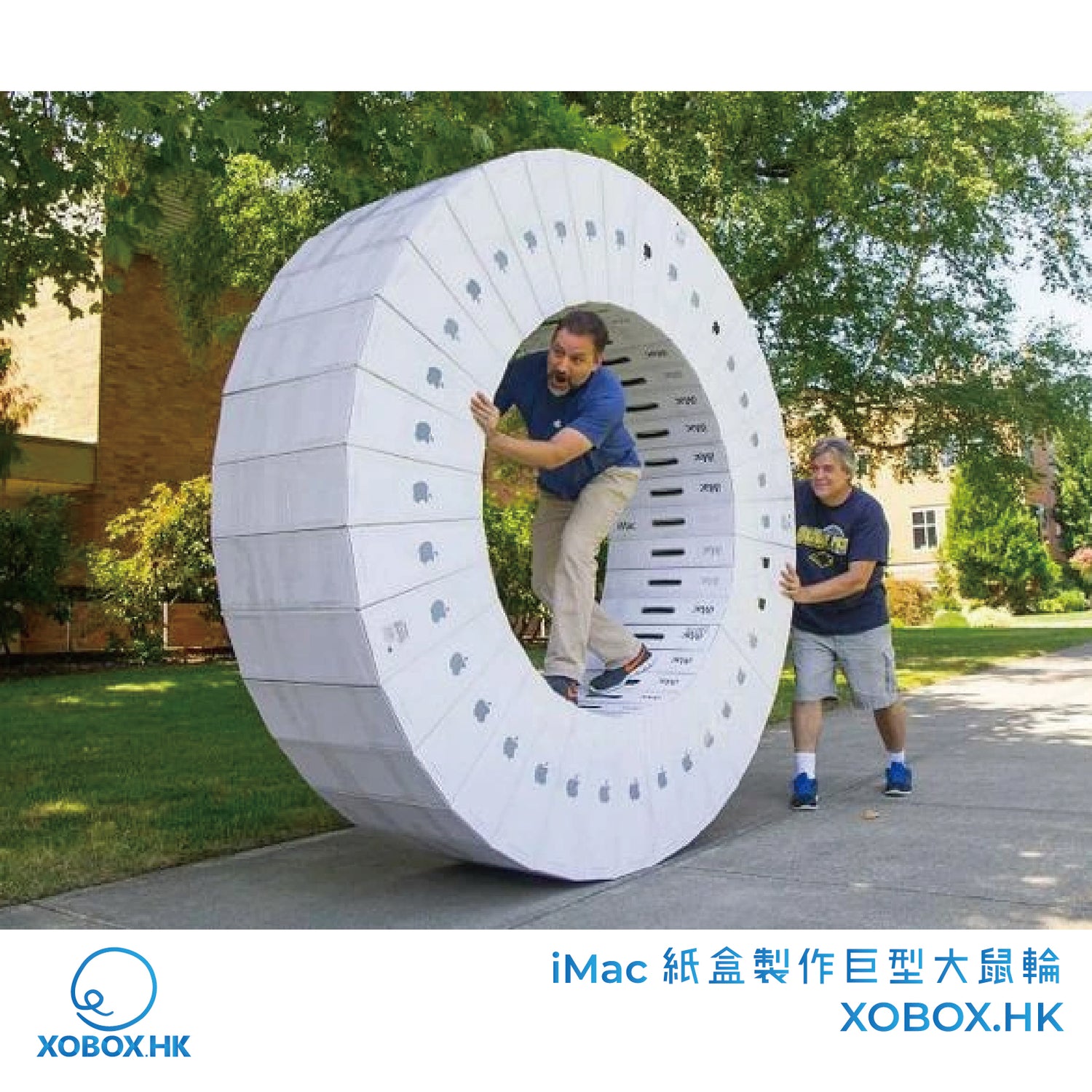 iMac 紙盒製作巨型大鼠輪 | XOBOX.HK