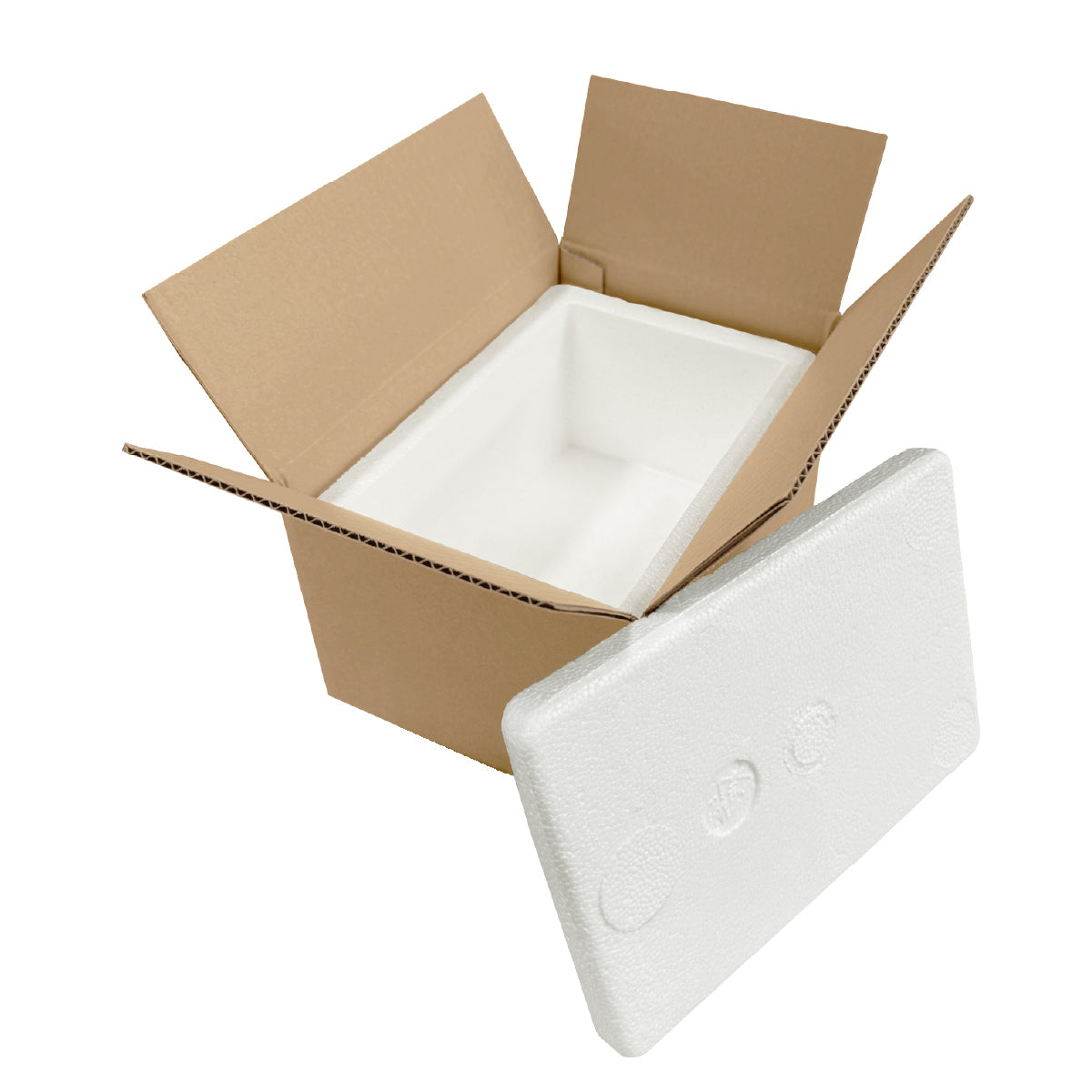 Foam Protection Box Thermal Insulation Foam Box(with Carton) 保溫隔熱發泡膠箱 – XOBOX.HK