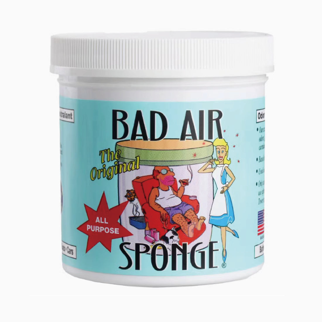 Bad Air Sponge Formaldehyde Remover 美國Bad Air除甲醛淨味劑
