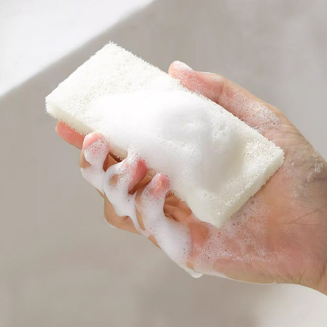 Daily Scrub Sponge 日拋仿絲瓜洗碗海綿