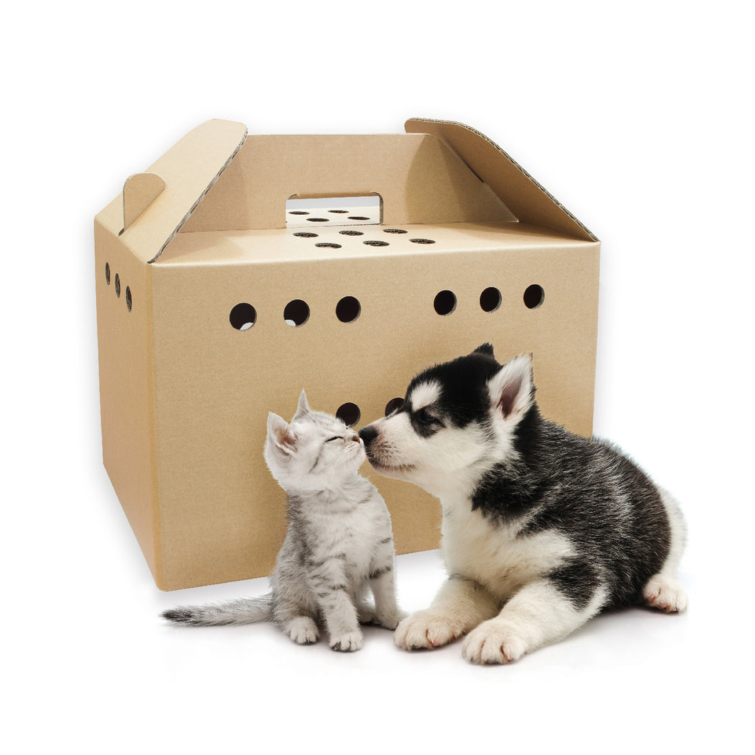 Carton Pet Carrier 寵物便攜紙箱